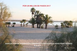 ACAP Por un millón de pasos 01