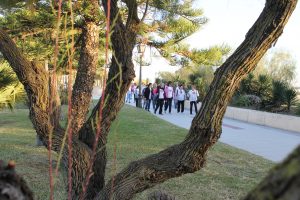 ACAP Por un millón de pasos 04